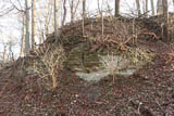 der Unterbau der Burg bestand aus Muschelkalk!